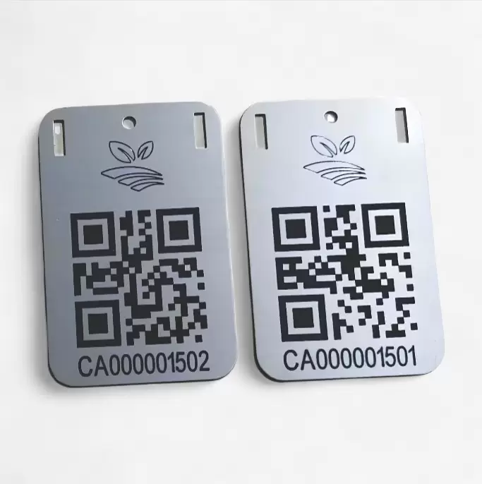 Фибер (волоконный) лазер Raycus 30W (150*150мм) thumb 6